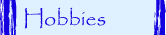 Hobbies